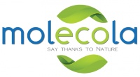 Molecola